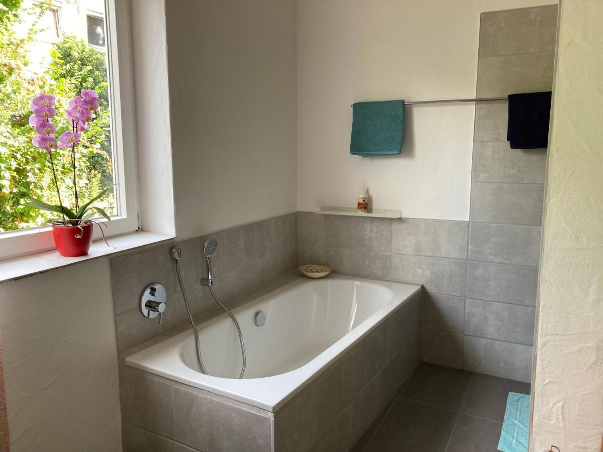 Gaestewohnung Mosbach モースバッハ エクステリア 写真